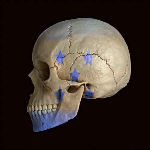 MR Strange Gitard - Skull of Honduras