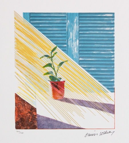 David Hockney - Zon