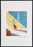 David Hockney - Zon