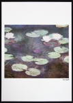 Claude Monet - Water Lilies