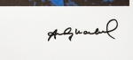 Andy Warhol - Grenouille arboricole des pindes