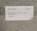 Pol Mara - To stand still with flowers
