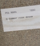 Pol Mara - Midsummer rose dream