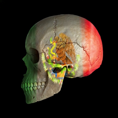 MR Strange Gitard - Skull of Mexico