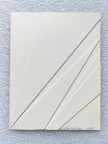 Gilbert Swimberghe - Monochrome relief