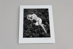 Douglas Ross - 'Nymphs' Folio - Six Prints