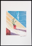 David Hockney - Sun