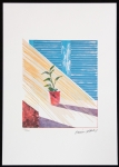 David Hockney - Soleil