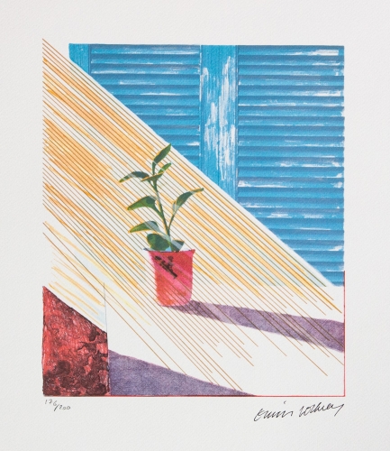 David Hockney - Sun