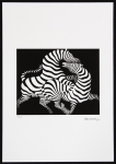 Victor Vasarely - Zebra