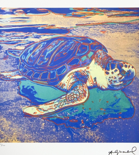(After) Andy Warhol - Turtle