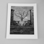 Dominic Rouse - 'Arborealism' - Two Prints