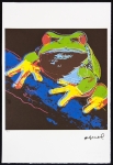 Andy Warhol - Grenouille arboricole des pindes