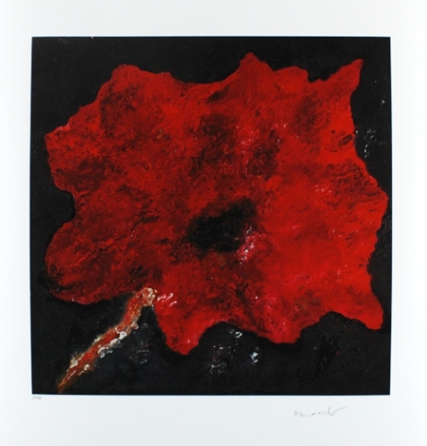 Armando  - DIE BLUME ROT