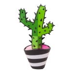 Cactus 1B-M