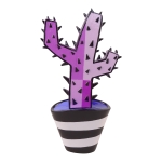 Cactus 2B-M