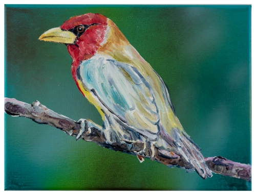 Lambert Oostrum - Vogel 3