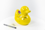 Hannes D'Haese - Yellow Duck (S)