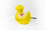 Hannes D'Haese - Yellow Duck (S)