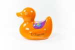 Hannes D'Haese - Orange Duck (S)