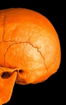 MR Strange Gitard - Skull in Orange