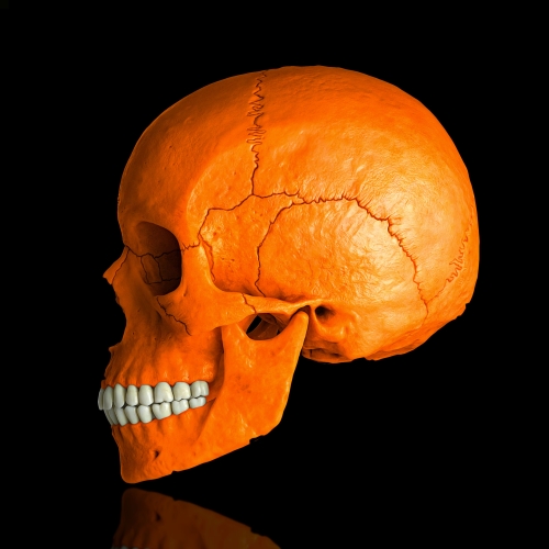 MR Strange Gitard - Skull in Orange