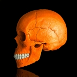 Skull in Orange