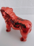 Hannes D'Haese - english bulldog