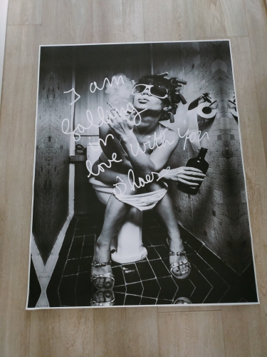 Hannes D'Haese - Woman on toilet (I am falling in love with you)