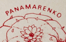Panamarenko curiosa
